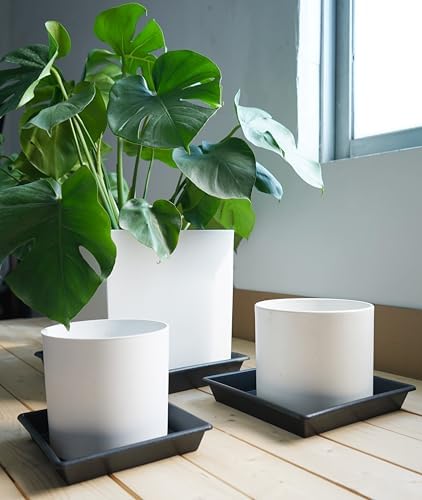 NIMYAU Square Plant Saucer 16 Inch 4 Pack, Plant Stand Plant Trays for Pots Heavy Duty Plastic Plant Saucers for Indoors Outdoors, Flower Pot No Holes Terracotta Plant Lover Gardening Gifts - Image 7