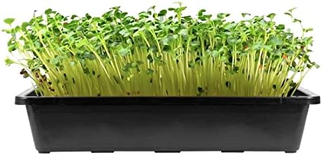 MOUYAT 14 Pack 15 x12 Inch Seed Starter Trays, Plastic Mesh Bottom Growing Trays, Plant Germination Trays for Microgreens, Soil Blocks, Wheatgrass, Hydroponic and Fodder Systems, Black - Image 6
