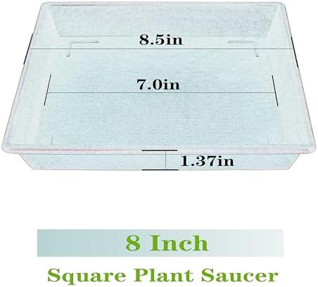 NIMYAU Square Plant Saucer 8 Inch 5 Pack, Plant Stand Plant Trays for Pots Heavy Duty Plastic Plant Saucers for Indoors Outdoors, Flower Pot No Holes Terracotta Plant Lover Gardening Gifts - Image 2