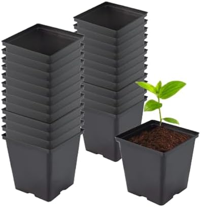 1/2 Gallon Square Nursery Pots 24PCS Black Thick Durable Plastic Flower Pots with Drainage Holes, Reusable Seedling propogation Starter Pots for Indoor Plants, Transplanting, Succulents by TopoGrow