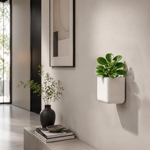 Phoenix Vine 4.5 Inch Wall Mounted Self-Watering Planter Pot for Indoor Houseplants and Herbs | Hanging Planter for Window Sills, Bathroom Walls, Home & Office Décor, Oatmeal, Set of 4, 01-B-G-4 - Image 7