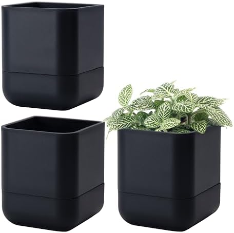 Phoenix Vine 4.5 Inch Wall Mounted Self-Watering Planter Pot for Indoor Houseplants and Herbs | Hanging Planter for Window Sills, Bathroom Walls, Home & Office Décor, Black, Set of 3, 01-B-E-3 by Phoenix+Vine
