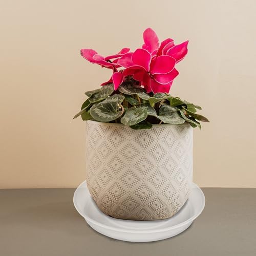 4 Pack of 14 inch Plant Saucers Bird Bath Bow Round, Plastic Plant Saucer Tray for Pots, White Planters for Indoor Plants, Plant Trays for Planter 12-15" (14", Clear) - Image 6