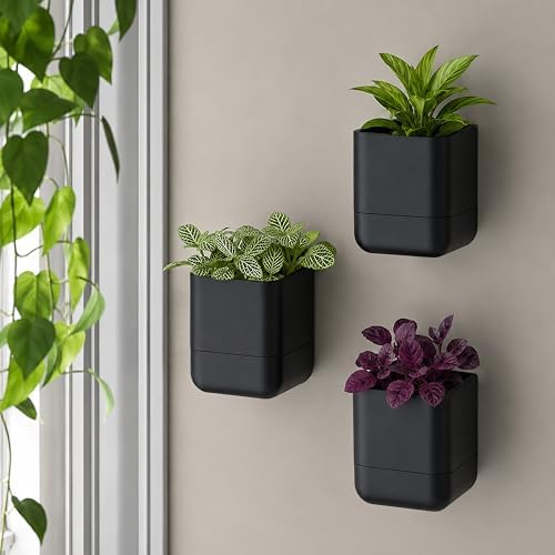 Phoenix Vine 4.5 Inch Wall Mounted Self-Watering Planter Pot for Indoor Houseplants and Herbs | Hanging Planter for Window Sills, Bathroom Walls, Home & Office Décor, Black, Set of 1, 01-B-E-1 - Image 7