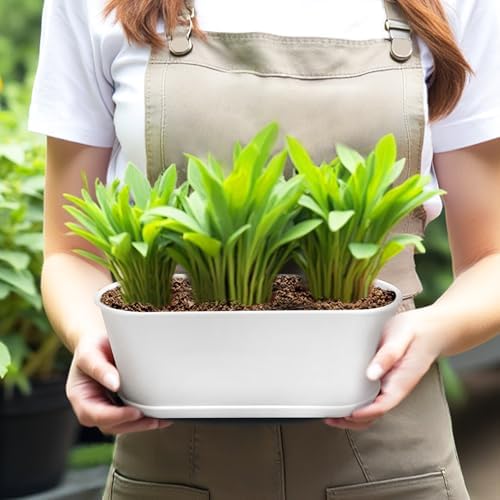 5 Set Window Herb Planter Box Rectangular,8.5x3.5 Inch White Plastic Planters with Multiple Drainage Holes and Trays,Indoor Succulent Cactus Mint Flower Pot for Windowsill,Garden Balcony - Image 7