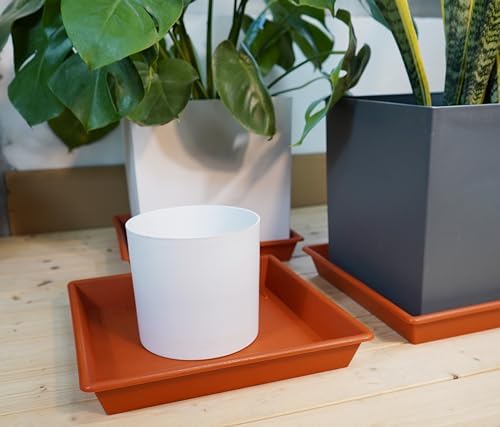 NIMYAU Square Plant Saucer 8 Inch 5 Pack, Plant Stand Plant Trays for Pots Heavy Duty Plastic Plant Saucers for Indoors Outdoors, Flower Pot No Holes Terracotta Plant Lover Gardening Gifts - Image 4