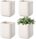 Phoenix Vine 3.5 Inch Wall Mounted Self-Watering Planter Pot for Indoor Houseplants and Herbs | Hanging Planter for Window Sills, Bathroom Walls, Home & Office Décor, Oatmeal, Set of 4, 01-A-G-4 by Phoenix+Vine