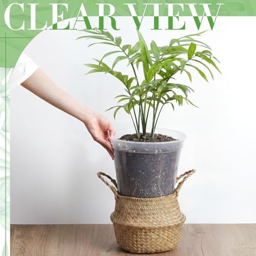 Vesici 6 Pcs 12 Inch Large Thickened Clear Nursery Pots - Image 6