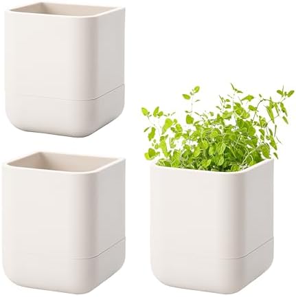 Phoenix Vine 3.5 Inch Wall Mounted Self-Watering Planter Pot for Indoor Houseplants and Herbs | Hanging Planter for Window Sills, Bathroom Walls, Home & Office Décor, Oatmeal, Set of 3, 01-A-G-3 by Phoenix+Vine
