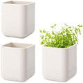 Phoenix Vine 3.5 Inch Wall Mounted Self-Watering Planter Pot for Indoor Houseplants and Herbs | Hanging Planter for Window Sills, Bathroom Walls, Home & Office Décor, Oatmeal, Set of 3, 01-A-G-3 by Phoenix+Vine