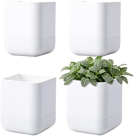 Phoenix Vine 3.5 Inch Wall Mounted Self-Watering Planter Pot for Indoor Houseplants and Herbs | Hanging Planter for Window Sills, Bathroom Walls, Home & Office Décor, White, Set of 4, 01-A-D-4 by Phoenix+Vine