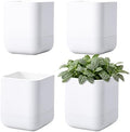Phoenix Vine 4.5 Inch Wall Mounted Self-Watering Planter Pot for Indoor Houseplants and Herbs | Hanging Planter for Window Sills, Bathroom Walls, Home & Office Décor, White, Set of 4, 01-B-D-4 by Phoenix+Vine