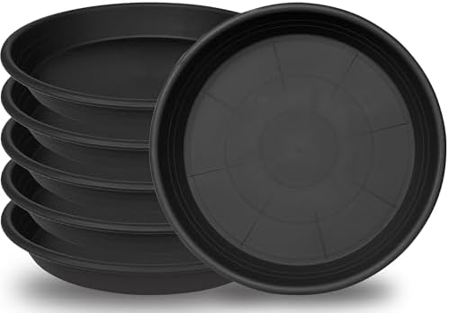 6 Pack Plant Saucer 10 inch, Heavy Duty Plastic Plant Saucers 10 inch, Durable Plant Tray for Pots, Flower Saucers for Indoors, Plant Pot Saucers, Trays for Planter 8"/9"/10" (Black) by Unknown