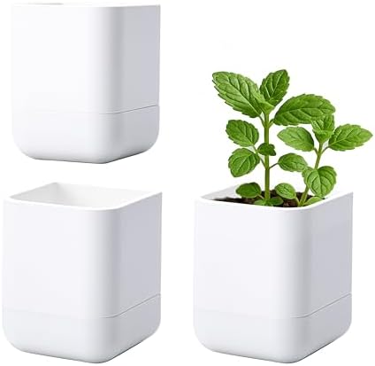 Phoenix Vine 3.5 Inch Wall Mounted Self-Watering Planter Pot for Indoor Houseplants and Herbs | Hanging Planter for Window Sills, Bathroom Walls, Home & Office Décor, White, Set of 3, 01-A-D-3 by Phoenix+Vine