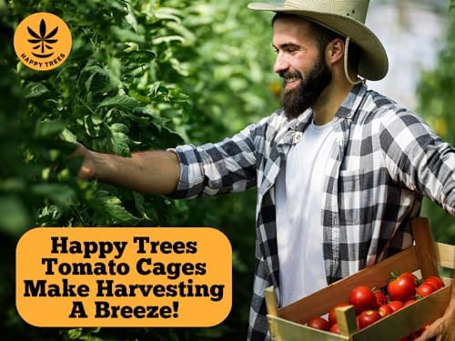 Happy Trees Large Heavy Duty Folding Tomato Cages, 3-Pack, Made in USA - Image 3