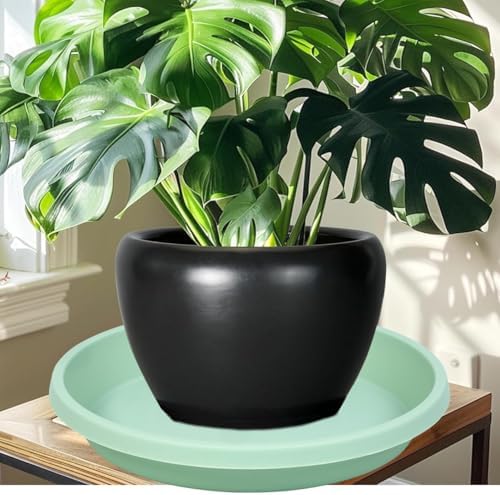 NIMYAU Plastic Plant Saucers 10 Inch Round Pack of 2 Thick Reusable Drip Trays for Indoor Outdoor Plants - Image 5