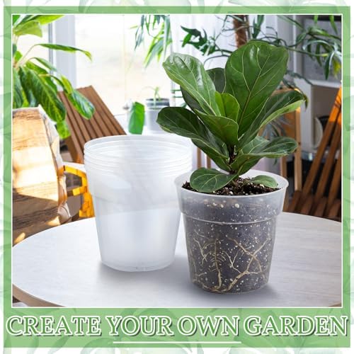 Vesici 6 Pcs 12 Inch Large Thickened Clear Nursery Pots - Image 5