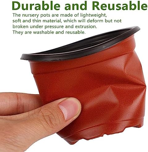 100 PCS 6 Inches Plastic Plant Nursery Pots, Reusable Plastic Pots for Succulents, Seedlings, Cuttings, Transplanting,Seedlingswith Drainage Holes - Image 4