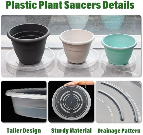 RooTrimmer 10 Pack 10 Inch Clear Plant Saucers for Plant Pots,Thick Heavy Duty Plastic Plant Trays,Transparent Drip Trays for Indoor & Outdoor Plants - Image 4