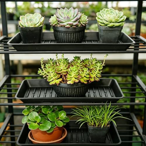 2 Pack Rectangular Plant Saucer 16 Inch, Heavy Duty Plastic Drip Trays for Pots, Windowsill Planter, Indoor Outdoor, 7.0 x 16.1 Inches, Black - Image 7