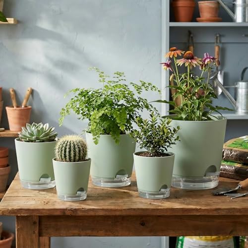 GARDIFE 2026 Upgraded Self Watering Plant Pots with Drainage Hole, 8/7/6.5/6/5.5/5/4 Inch Flower Planting Containers for House Plants, African Violet, Flowers, Cactus (Green, 8+7+6.5+6+5.5+5+4 inch) - Image 6