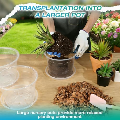 10 Inch Clear Nursery Pots with Drainage and Sacuers, 4 Pack Plastic Pots for Plants Indoor Outdoor, Large Clear Pots for Flowers, Succulents (10inx4pcs) - Image 5