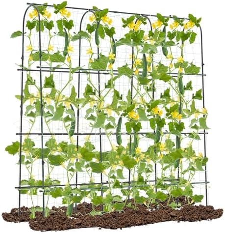 71" x 71" Cucumber Trellis for Raised Bed, Garden Arch Trellis Metal Plant Support Frame with Netting, Sure-Clips & Ground Stakes, U-Shaped Garden Trellis for Climbing Plants Outdoor by TOOLSEMPRE