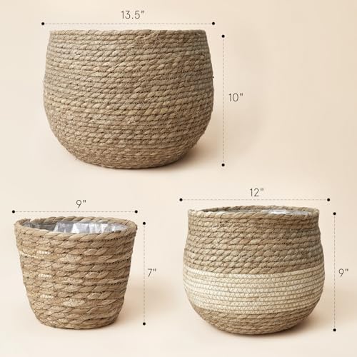 LA JOLIE MUSE Seagrass Basket Planters for Indoor Plants, Flower Pot 3 Pack - Image 6
