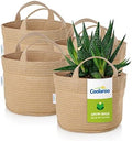 Coolaroo 4-Pack 2 Gallon Heavy Duty Plant/Vegetable/Herb/Fruit Breathable Fabric Grow Planter Pot Bags with Handles, Desert Sand by Coolaroo