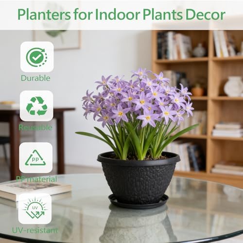 Nooulap 8 inch Plant Pots, Indoor Outdoor Small Planters, 4 Pack - Image 4