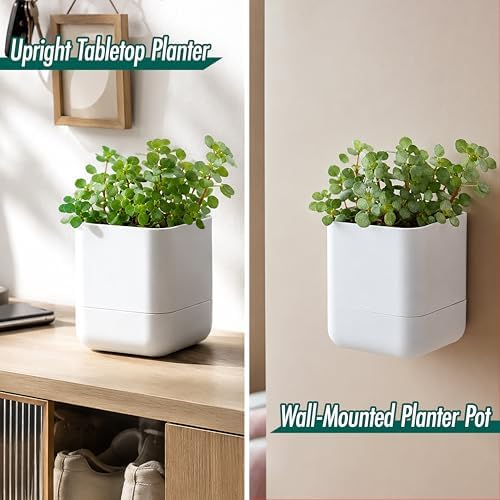 Phoenix Vine 4.5 Inch Wall Mounted Self-Watering Planter Pot for Indoor Houseplants and Herbs | Hanging Planter for Window Sills, Bathroom Walls, Home & Office Décor, White, Set of 1, 01-B-D-1 - Image 4