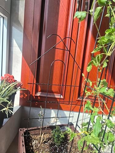 ARIFARO 4 Pack 24" Metal Garden Trellis for Climbing Plants Outdoor - Image 6