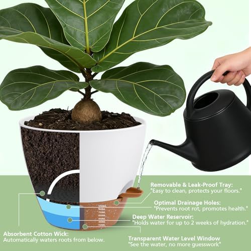 Self Watering Pots with Water Level Indicator, 12" 10" 9" 8" Large Plastic Flower Pots with Mesh Drainage Hole and Removable Saucer Reservoir for Indoor Outdoor Plants (White) - Image 4