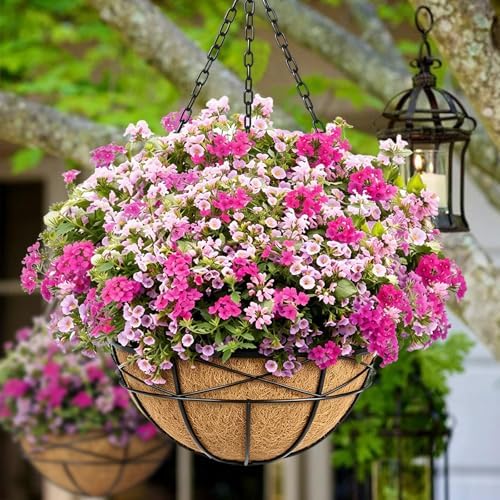 4 Pack 20 Inch Hanging Planters Baskets for Outdoor Plants Extra Large Deep Hanging Baskets with Natural Coconut Liner Flower Pots for Porch Balcony Garden Decor - Image 2