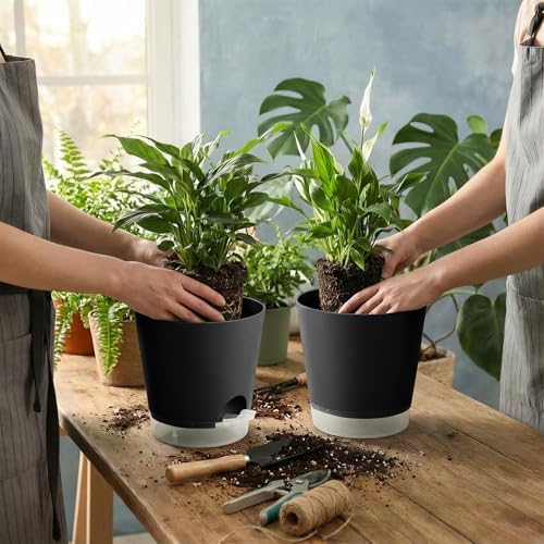 GARDIFE 2026 Upgraded Self Watering Plant Pots with Drainage Hole, 7/6.5/6/5.5/5/4 Inch Flower Planting Containers for House Plants, African Violet, Flowers, Cactus (Black, 7+6.5+6+5.5+5+4 inch) - Image 5