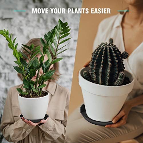 6 Pack Plant Saucer 4 6 8 10 12 14 16 18 20 22 Inch Plastic Plant Tray, Sturdy and Durable Flower Pot Container Accessories Plant Pot Saucers for Indoor and Outdoor (8 Inch, Black) - Image 6