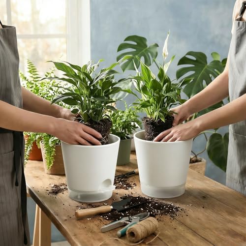 GARDIFE 2026 Upgraded Self Watering Plant Pots with Drainage Hole, 8/7/6.5/6/5.5/5/4 Inch Flower Planting Containers for House Plants, African Violet, Flowers, Cactus (White, 8+7+6.5+6+5.5+5+4 inch) - Image 5