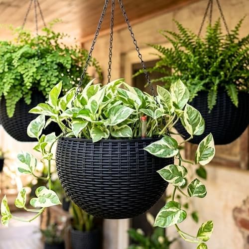 LaLaGreen Indoor Hanging Planters (11in, 4 Pack) Self-Watering Flower Pots by L%C3%A1L%C3%A1Green