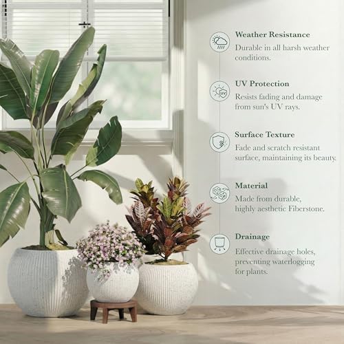 DTY Premium Mt Sherman Fiberstone Sphere Planter for Indoor Outdoor Use, Round Pot for Olive Tree, Lightweight, Smooth Finishes. 2 Coco Mats. Ribbed White, Medium 16.1'' D x 13.6'' H 11.8” Pot Opening - Image 5