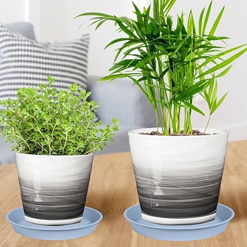OVZILKI 6 Pack of Plant Saucer Tray 7 8 inch, Heavy Duty Plastic Pot Plant Drip Trays Saucers for for Indoors Outdoor, Plant Water Tray for Planters 7-9" (8", Light Gray) - Image 5