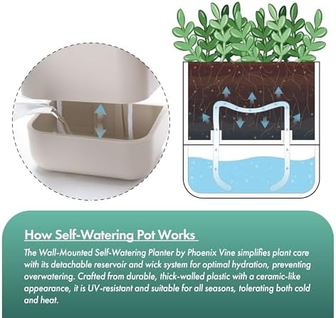 Phoenix Vine 4.5 Inch Wall Mounted Self-Watering Planter Pot for Indoor Houseplants and Herbs | Hanging Planter for Window Sills, Bathroom Walls, Home & Office Décor, Oatmeal, Set of 3, 01-B-G-3 - Image 5