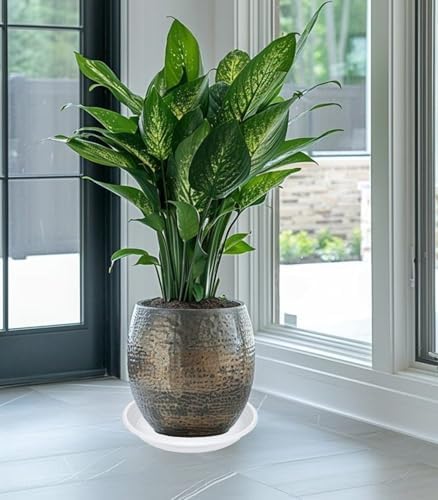 2 Pack of 10 inch Plant Saucer, Large Plant Tray, Heavy Sturdy Plant Drainage Tray for Indoors, Bird Bath Bowls, Sturdy Plastic Pot Tray for Planter (White) - Image 5