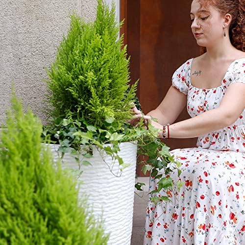 Worth Garden 2-Pack 21" H. White Tall Planters - 14'' Dia Resin Large Round Flower Pots for Outdoor Plants Trees - Imitation Stone Finish Plastic Indoor Front Porch 9 Gallon Decorative Container Patio - Image 5