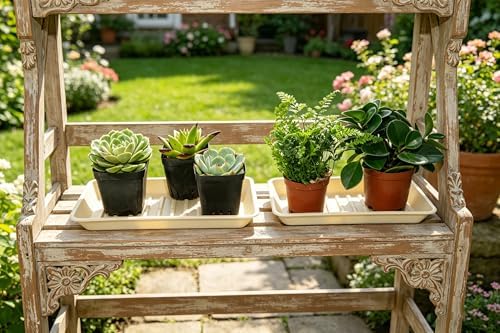 2 Pack Plastic Plant Tray Saucer Rectangular 24 Inch, Plant Trays Saucers for Indoor Outdoor, Water Drip Tray for Flower Pot Planter, Windowsill, 8 x 24 Inches, Beige - Image 6