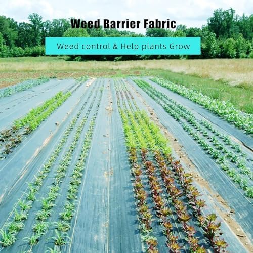 Broadfashion 6.5ft x 300ft Premium 3oz Pro Garden Weed Barrier Landscape Fabric, Durable & Heavy-Duty Weed Block Gardening Mat, Easy Setup & Superior Weed Control, Eco-Friendly & Convenient Design - Image 5