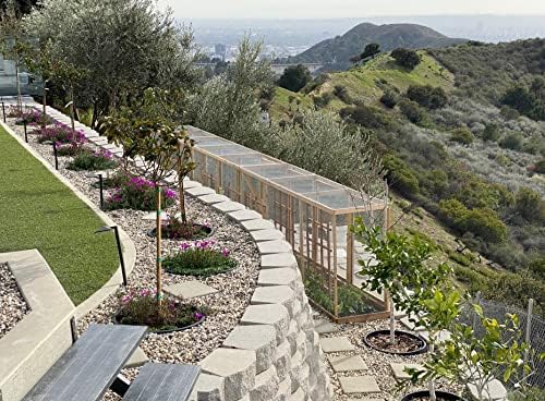 6-Pack 24-inch Tree Planting Rings – Deep Root Watering Basin & Edging. - Image 4