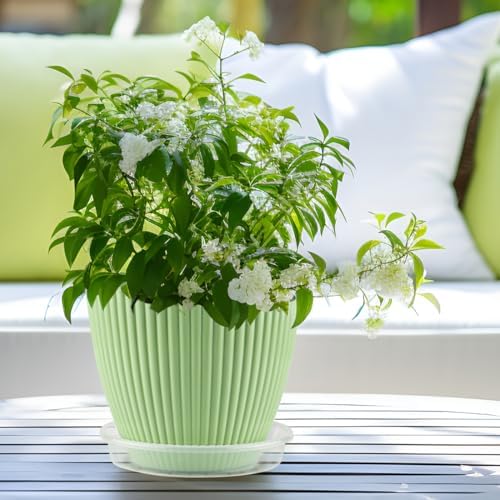 RooTrimmer 10 Pack 10 Inch Clear Plant Saucers for Plant Pots,Thick Heavy Duty Plastic Plant Trays,Transparent Drip Trays for Indoor & Outdoor Plants - Image 3