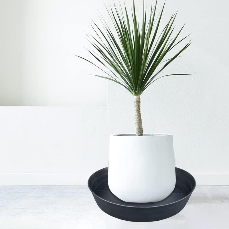 LWALRS Plant Saucer 12 Inch 2 Pack 10 12 14 16 18 20 25, Plastic Plant Trays for Pots，Extra-Deep Plant Water Dray Tray, Bird Bath Bowl, Heavy Flower Plant Saucers Indoors and Outdoor No Holes - Image 3