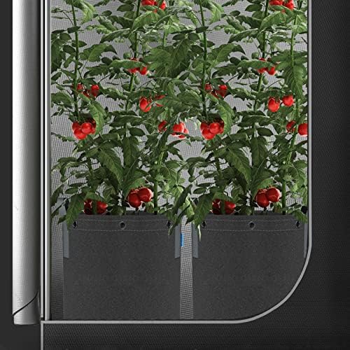 AC Infinity Heavy-Duty 500G Fabric Pots, 15 Gallon Grow Bags 5-Pack - Image 7