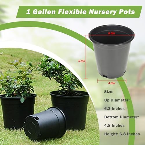 HOSTIC 1 Gallon Flexible Nursery Pots Gallon Pot with Drainage Holes Plastic Plant Container Suitable for Indoor Outdoor Vegetables Flowers Plants 10 PCS - Image 4